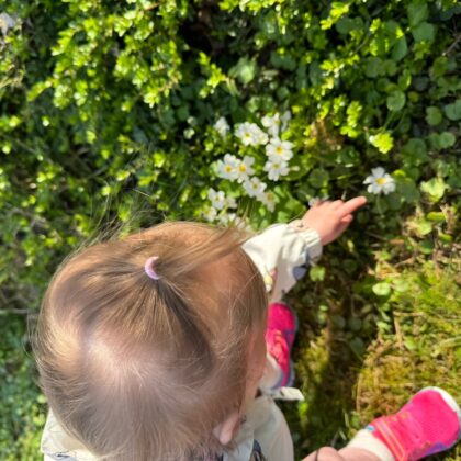 fruehling blumen